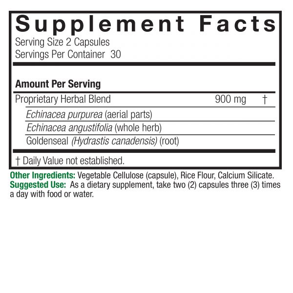 Echinacea-Goldenseal Capsules 60 Count
